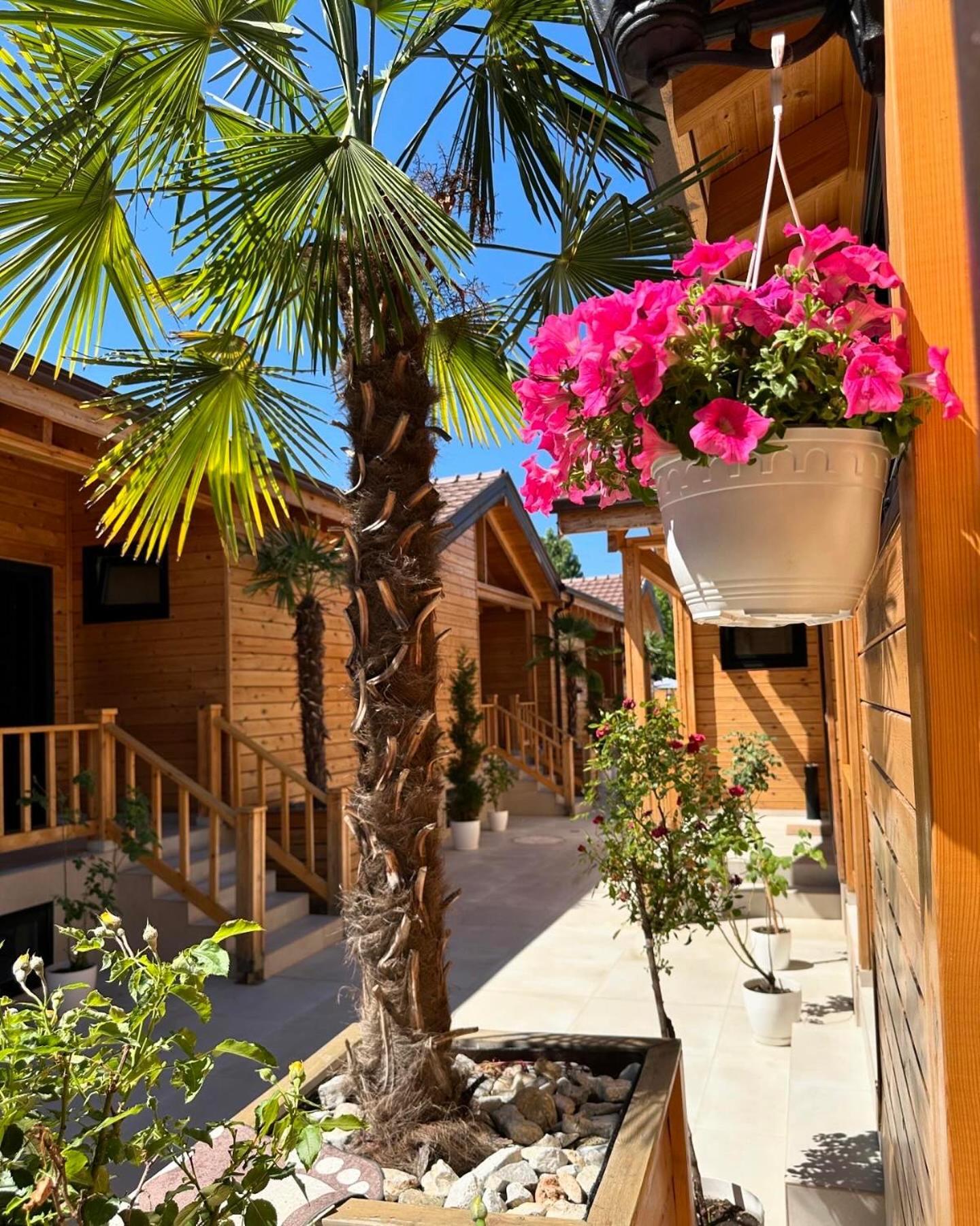 Bujtina Siar Hotel Pogradec Exterior photo